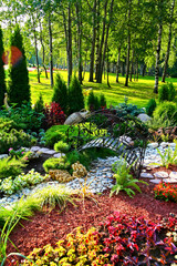 Obraz premium Serene Garden with Lush Greenery and Decorative Stone Path in Sunlit Forest Park