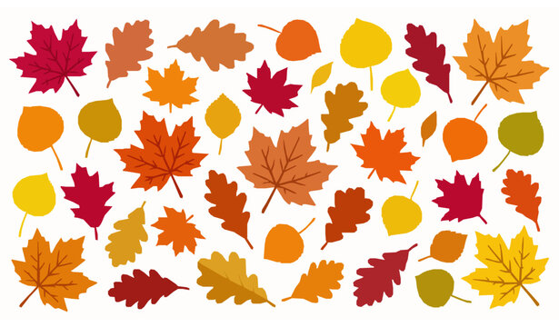 Decorative fall leaves vector illustration with colorful autumn foliage isolated on white background