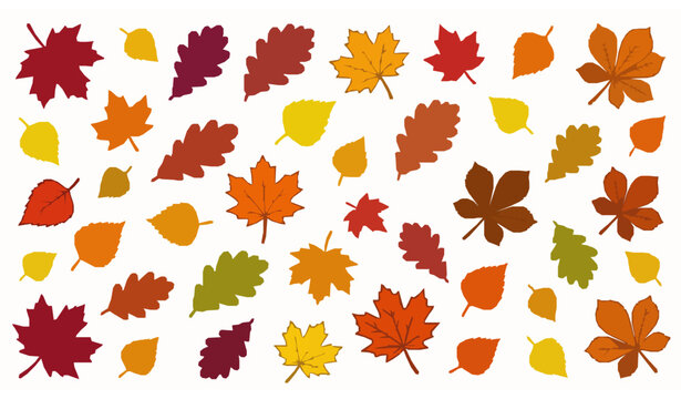 Colorful autumn leaves vector collection with red orange and yellow fall foliage isolated on white background