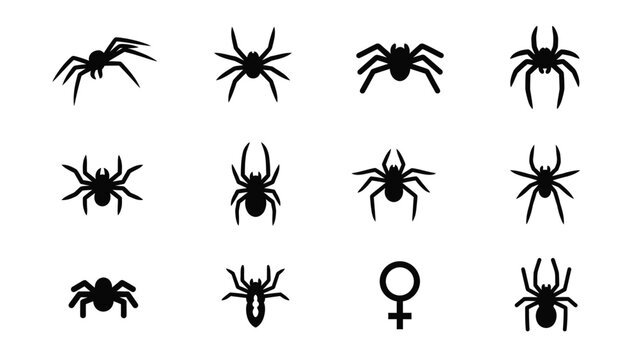 Collection of spider silhouettes and female symbol variations.