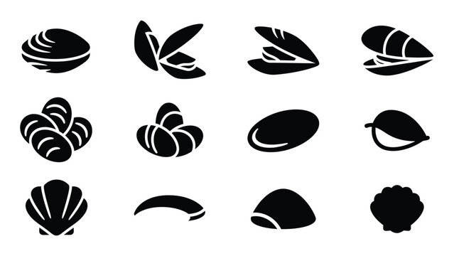 Seashells icons set, various types of marine mollusk shells, black silhouette sea shells vector illustration.
