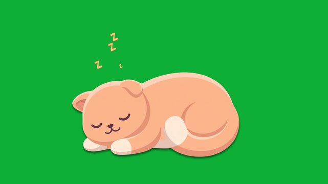 Cute cartoon peach cat sleeping peacefully on a green background with zzz symbols. Looping video green screen