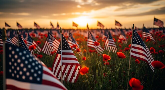American flags waving in field of red poppies at sunset during memorial day