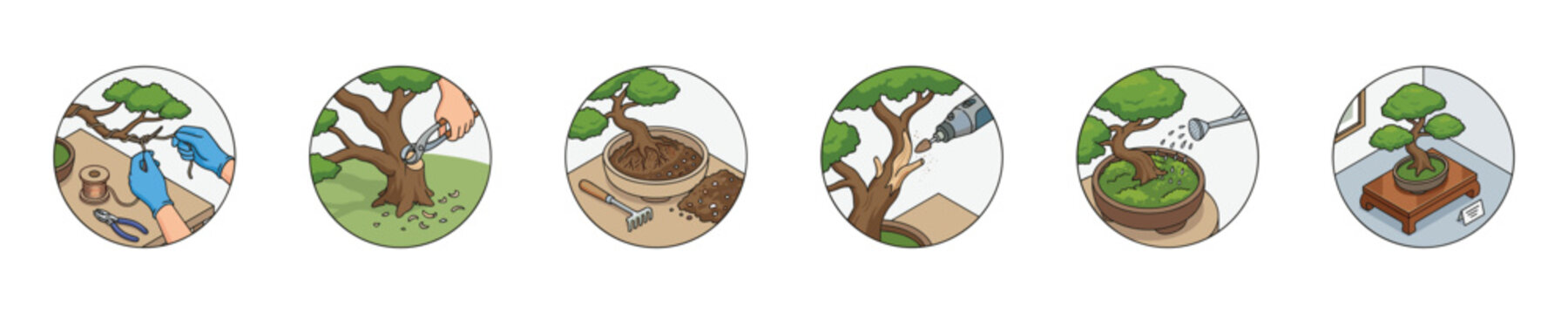 Step-by-step guide to creating and maintaining a beautiful bonsai tree