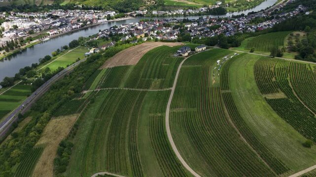 Aerial Drone View of Moselle Valley Vineyards, Germany