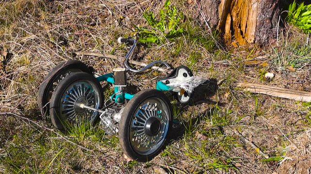 Forgotten and broken child's tricycle lying abandoned on the grassy ground in a sunlit forest, symbolizing lost childhood, neglect, or the passage of time in a poignant, lonely scene