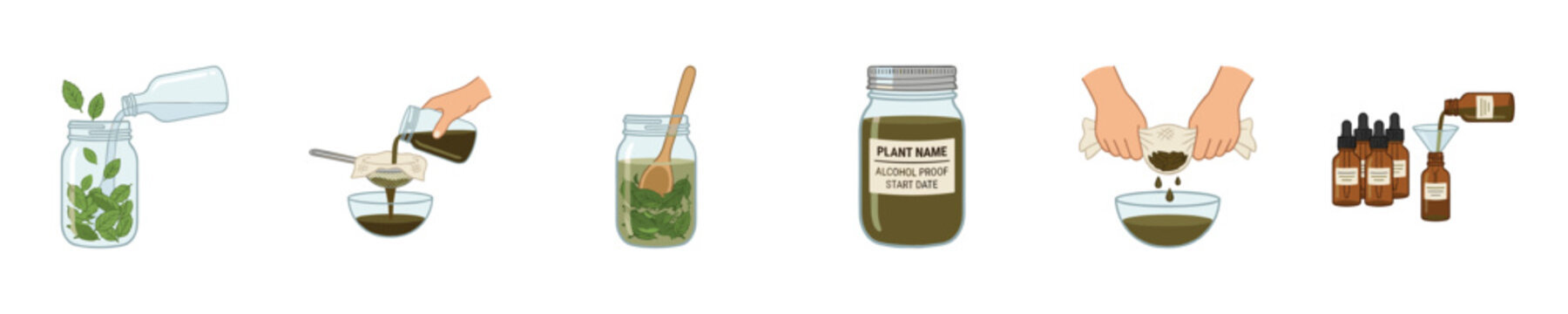 Steps for making herbal tinctures and extracts at home