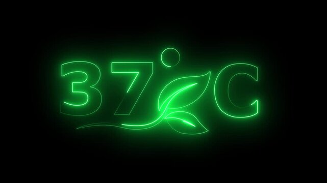Glowing neon 37 Degree Celsius Energy Concept Animation with Growing Leaves, Ecology and Temperature Measurement Icon on Dark Background.