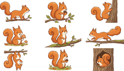 Cute Cartoon Squirrel Character Set Vector Illustration Collection Featuring Adorable Red Squirrels Climbing Trees, Holding Acorns, Eating Mushrooms, and Playing in Forest Natur © Mifta