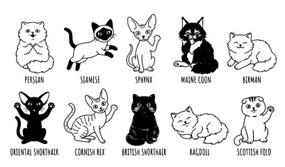 Fototapeta premium Adorable Domestic Cat Breeds Cartoon Vector Collection with Cute Fluffy Kitten Characters