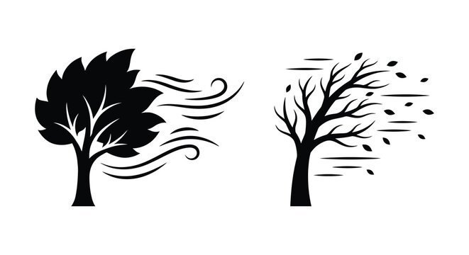 Two trees in different seasons with wind black silhouette