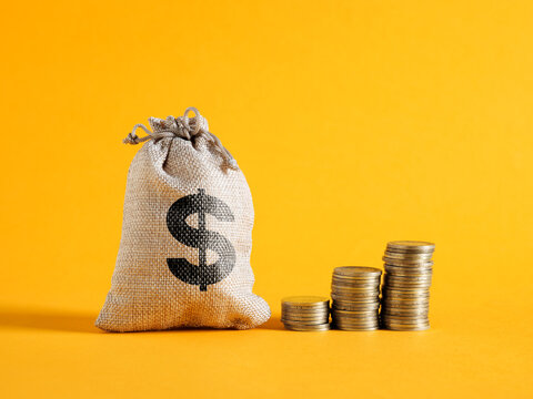 Money bag and coin stacks showing financial growth