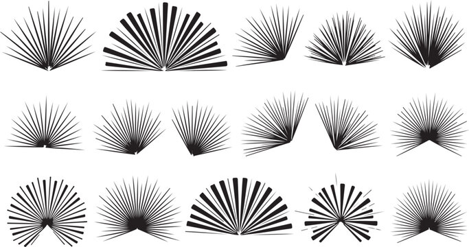 Abstract black and white fan shapes design elements