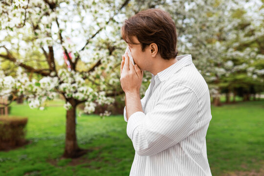 A man sneezes into a tissue while standing near blooming trees in a park. This image depicts seasonal allergies, hay fever, and the impact of spring pollen on health.