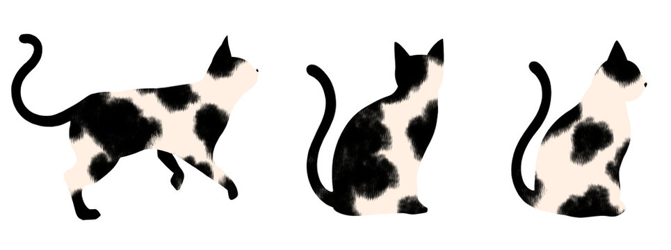 猫　素材　セット　アイコン　あしらい　ワンポイント　飾り　見出し　挿絵　全身　かわいい　シンプル　ぶち猫　透過　Set of isolated cute cats.Black and white cats in various poses.icons,stickers
