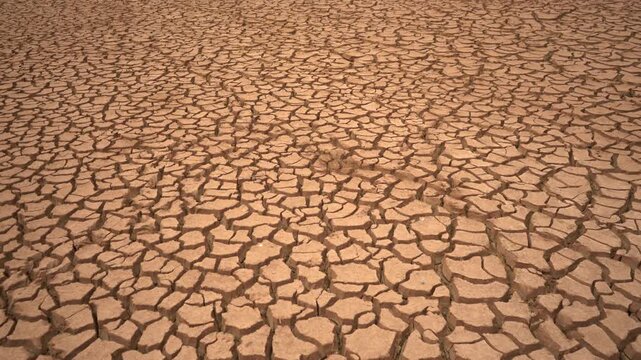 Static wide shot of a vast expanse of deeply cracked, parched earth. This highly texturized B-roll is a perfect background plate to illustrate the climate crisis, severe drought, and water scarcity.