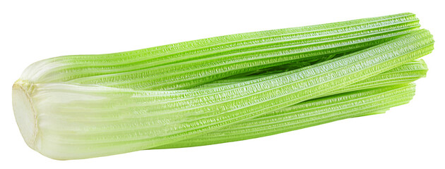 Fototapeta premium Green Celery isolated on white. Fresh Celery stems. Organic celery plant (Apium graveolens)&nbsp;closeup. Dieting detox food