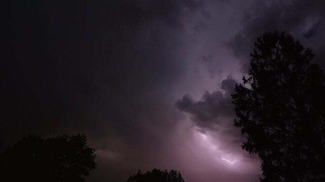 Series of lightning bolts on a dark night sky above the silhouette of trees, captured in slow motion.