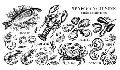 Sea cuisine sketch vector seafood market hand drawn illustration © abdul