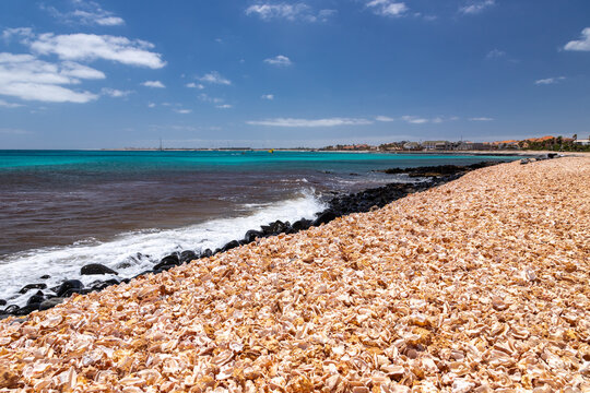 Shell Beach is a hidden gem on the eastern fringe of Santa Maria, the beach is unlike any other on Sal. The fine black volcanic sand vanishes beneath a crunching carpet of shells. It is a popular plac