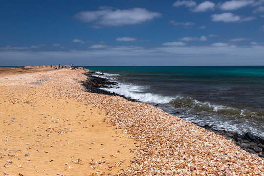 Shell Beach is a hidden gem on the eastern fringe of Santa Maria, the beach is unlike any other on Sal. The fine black volcanic sand vanishes beneath a crunching carpet of shells. It is a popular plac