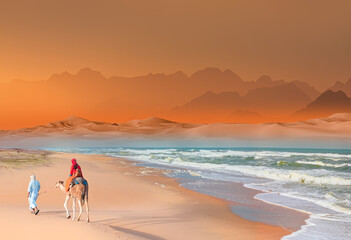 Sahara desert with Atlantic ocean meets -  A woman in a red turban riding a camel across the thin...