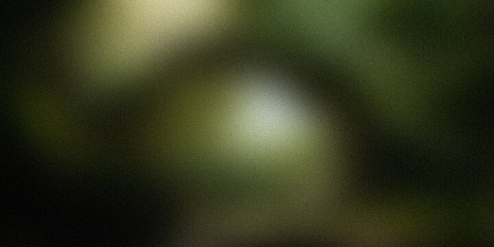Dark abstract background with soft glowing light spot in center featuring forest green tones and grainy noise texture overlay.