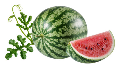 Green striped watermelon with slice and vine © Pablo