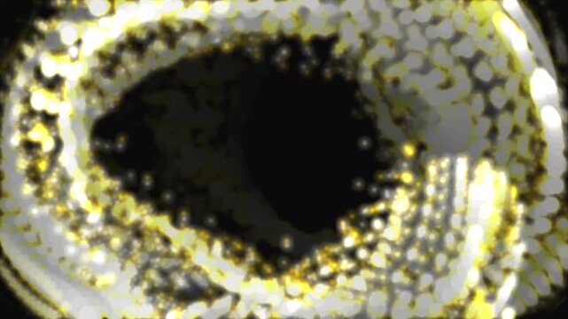 ゴールド&times;濃紺の高級流体拡散 金・宇宙風煙インク抽象背景4K