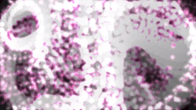 ローズダスト流体 ピンク粒子が中速で優雅に流れるロマンチック背景4K