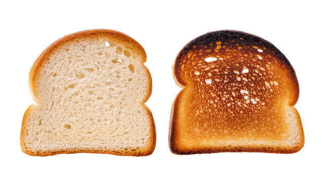Unbleached and Toasted Wheat Bread Slices Side by Side
