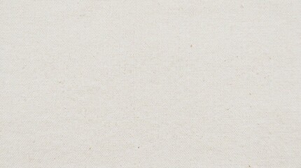 Fototapeta premium A blank white surface with texture.