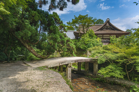 滋賀 日吉大社 走井橋