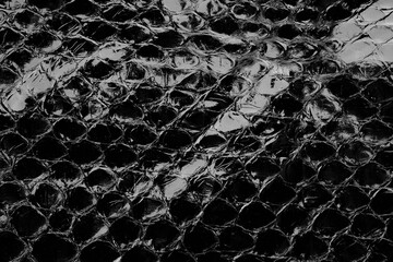 Black glossy python leather texture close up with reptile scale pattern for fashion background © reddish