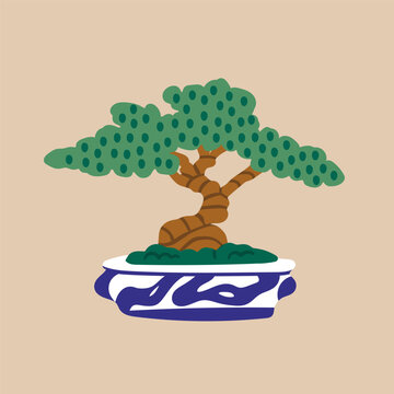 Beautiful Bonsai tree. Small decorative tree in a pot. Traditional Japanese plant, oriental garden art. Little potted decorative houseplant. Hand drawn trendy Vector illustration. Isolated element