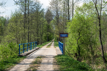  Small bridge with blue railing over Lutownia River in spring forest landscape, Bialowieza Forest, Poland © Art L