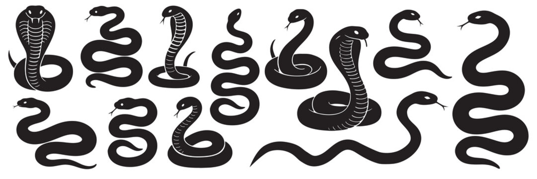 Snake Silhouettes Icon Set - Minimalist Black Vector Serpent Collection