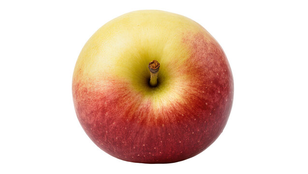 Red Yellow striped Apple with Stem and Calyx