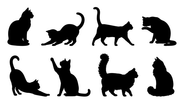 Black Cat Silhouette Collection with Various Sitting Walking and Stretching Poses Illustration Set