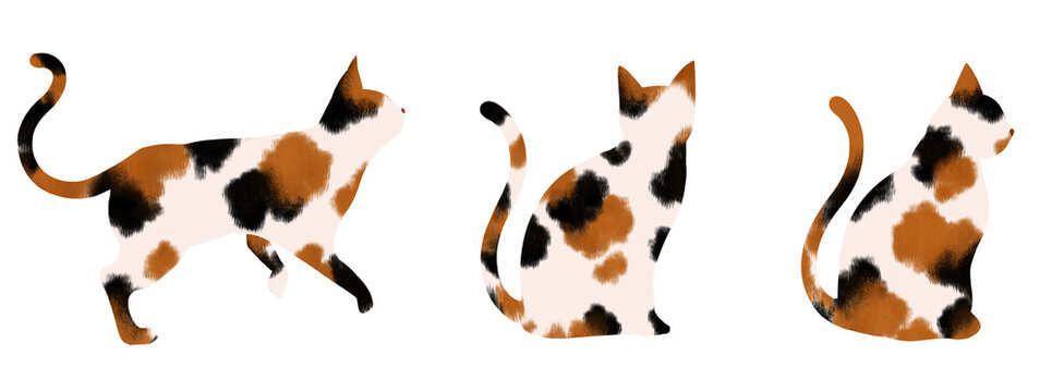 猫　素材　セット　アイコン　あしらい　ワンポイント　飾り　見出し　挿絵　全身　かわいい　シンプル　三毛猫　透過　Set of isolated cute cats.Calico cats in various poses.icons,stickers