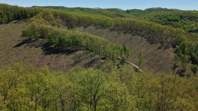 An aerial view of a forest landscape demonstrating the impact of selective logging on the natural rolling hills during spring.