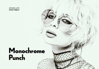Monochrome Punch Photo Effect