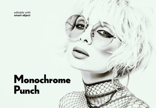 Monochrome Punch Photo Effect