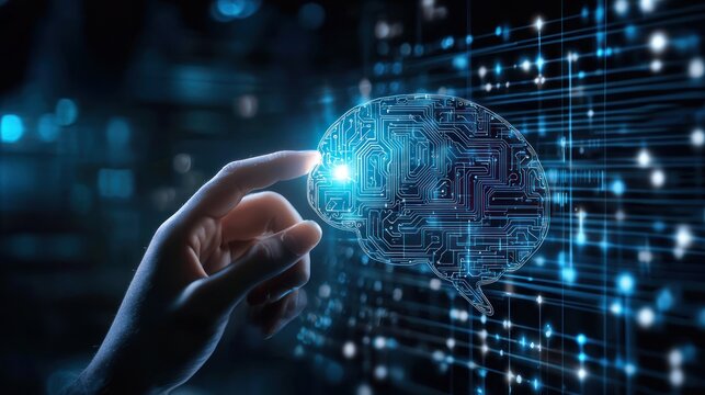 Interactive digital brain