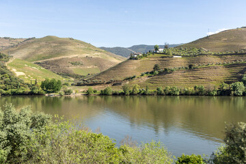Obraz premium Douro river valley with terraced vineyards and blue sky