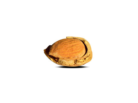 almond or Prunus amygdalus dried fruits isolated on a white background
