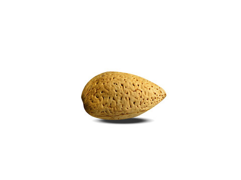 almond or Prunus amygdalus dried fruits isolated on a white background