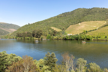 Obraz premium Douro river boats navigating terraced vineyards landscape
