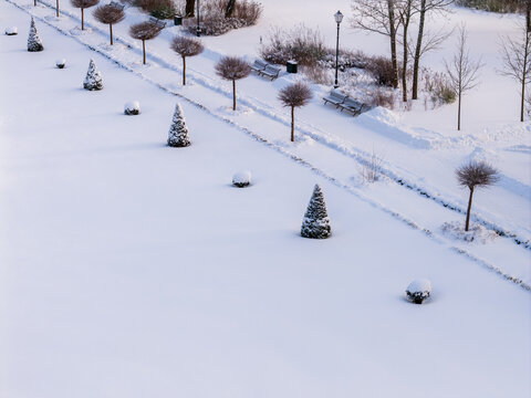 Aerial view of conical and round trimmed trees in a snow-covered park with benches and a path in Lithuania.