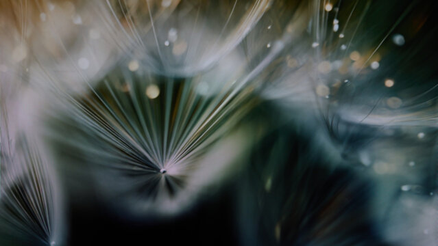 Abstract Green Tech Nature Background Collection with Dew Drops and Futuristic Botanical Light blurred for easy usage